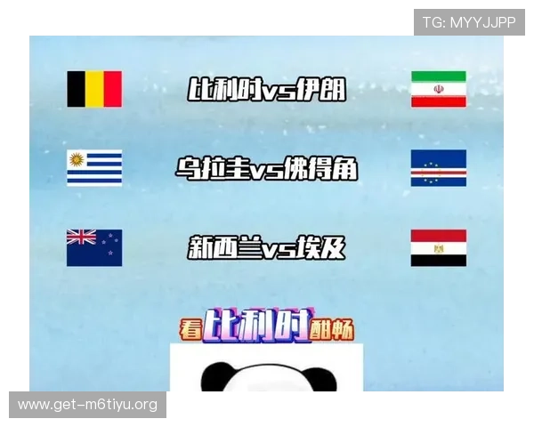 世界杯比利时VS伊朗比赛结果公布，赛场精彩瞬间与战术解析一览